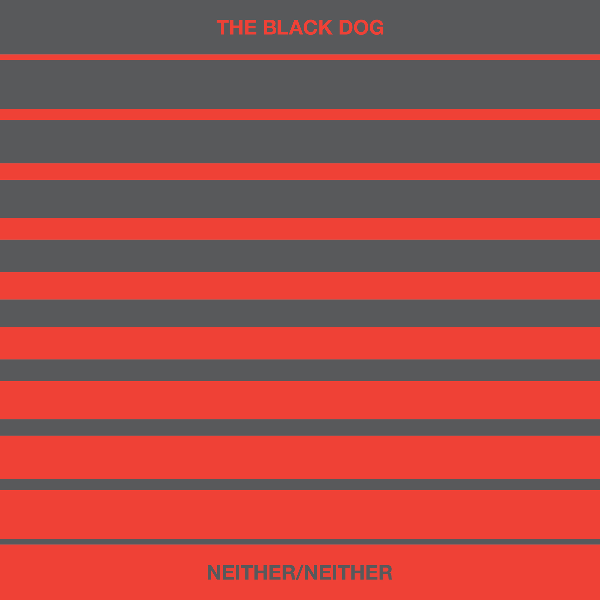 The_Black_Dog_-_Neither_Neither